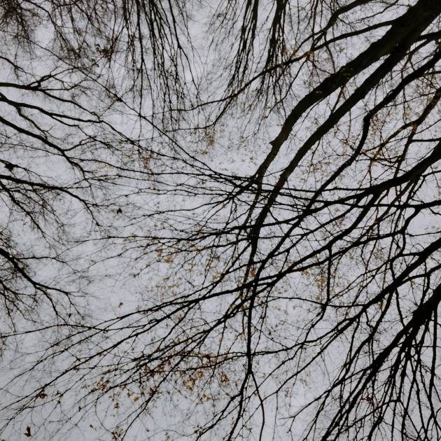 Klar im Herzen, stark im Alltag - Wie lebe ich Empathie vor?