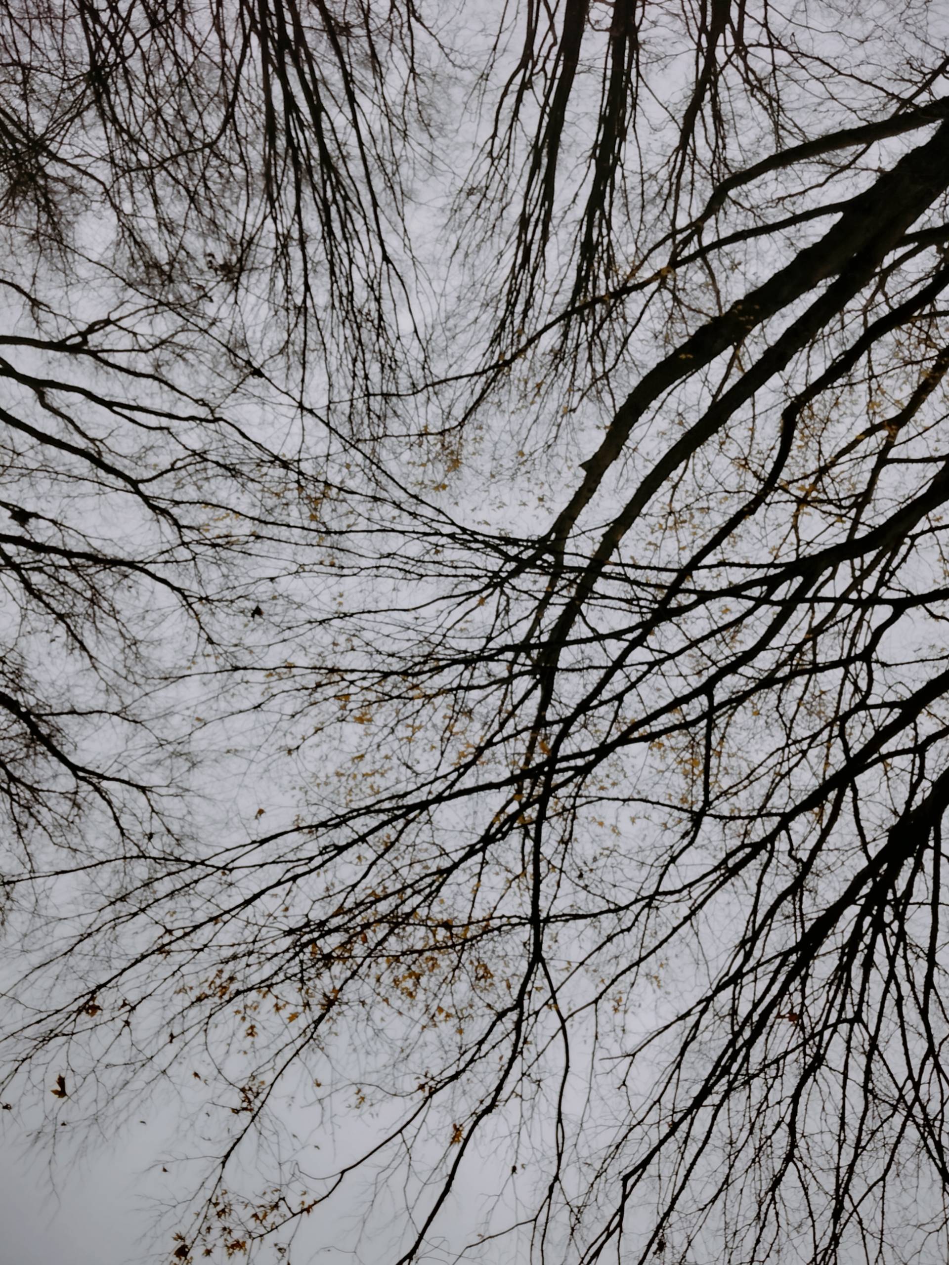 Klar im Herzen, stark im Alltag – Wie lebe ich Empathie vor?